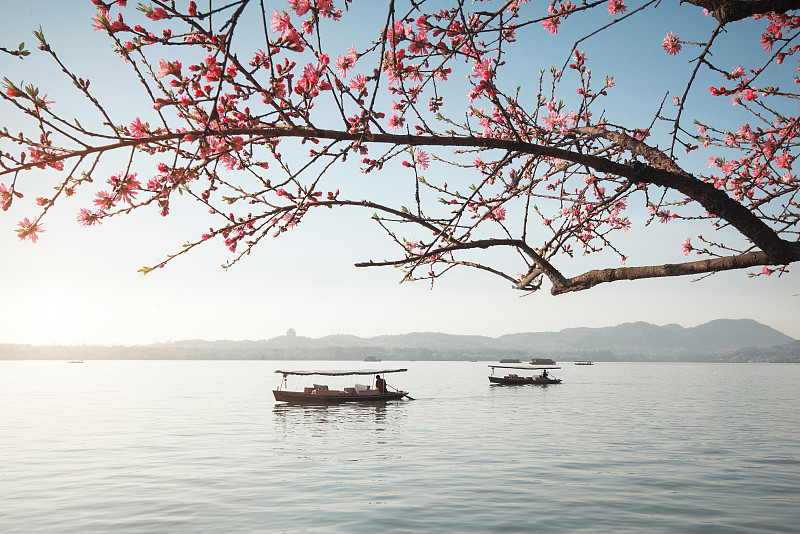 盛开的桃花和船，春天的西湖，中国杭州图片下载