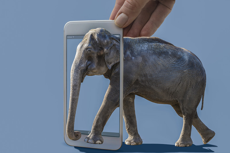 手機顯示大象從手機里出來圖片素材