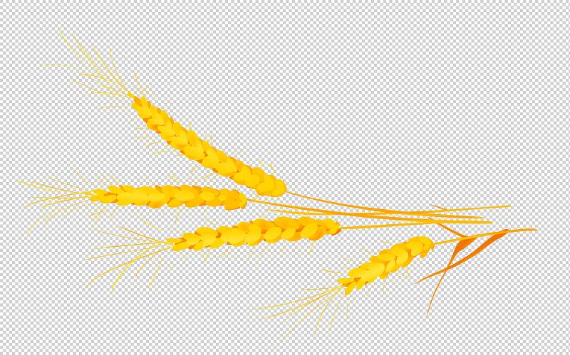 農業插畫元素玉米小麥糧食豐收圖片