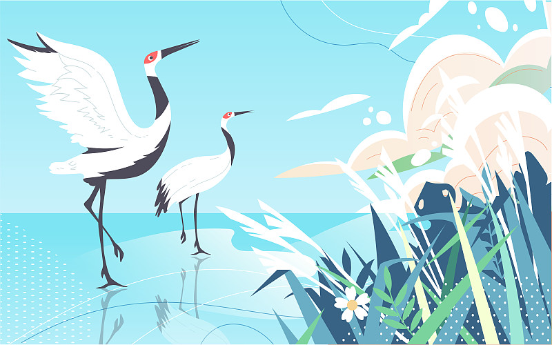 白露節氣海報秋季白鷺自然風景戶外環境插畫圖片
