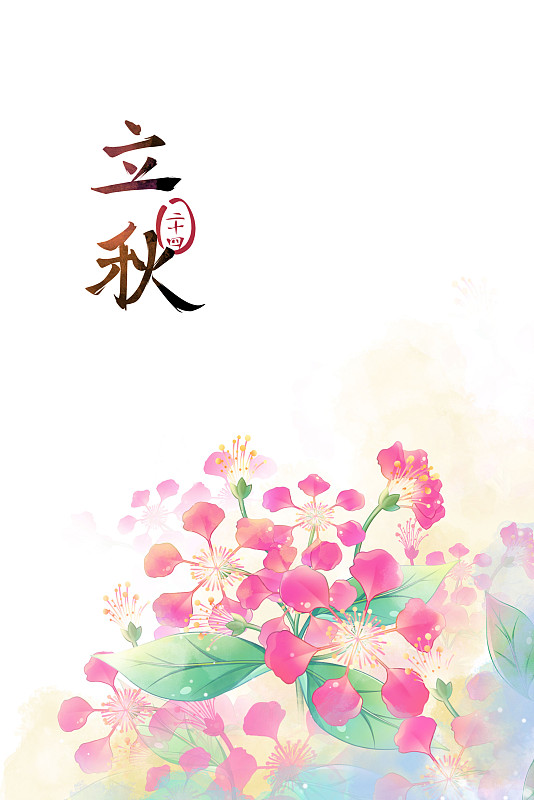 立秋——紫薇花，古風水彩二十四節氣系列唯美花卉插畫圖片