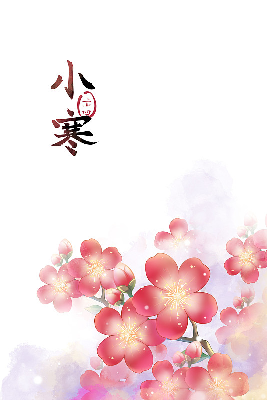 小寒——梅花，古風水彩二十四節氣系列唯美花卉插畫圖片