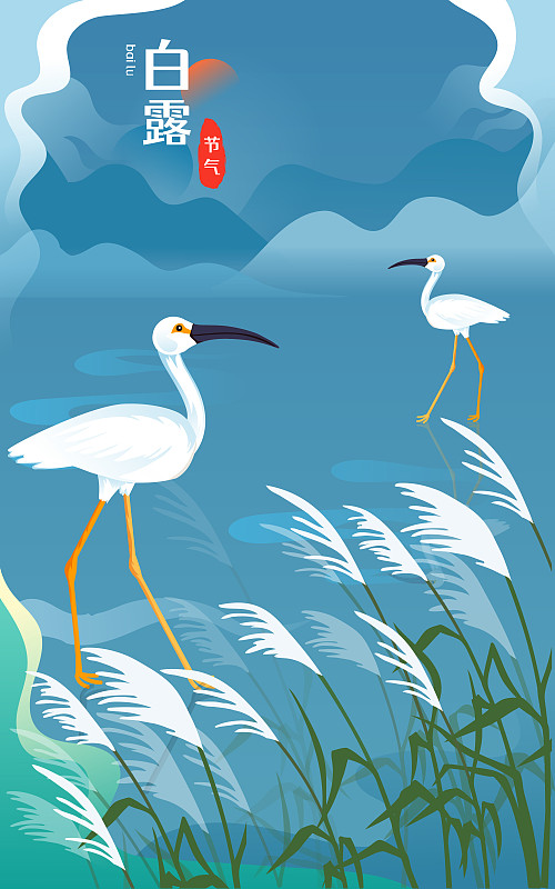 白露節氣秋天白鷺戶外玩耍美麗自然動物插畫圖片