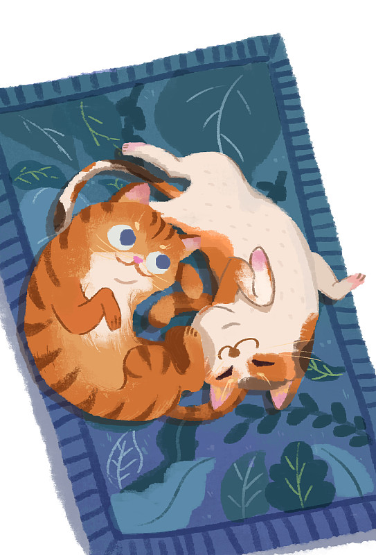 两只小猫咪在毯子上玩耍图片下载