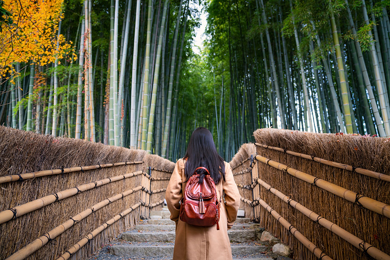 亞洲年輕女子旅行者與背包觀光在著名的目的地竹林嵐山，京都，日本。日本旅游、歷史建筑、傳統文化和旅游理念圖片素材