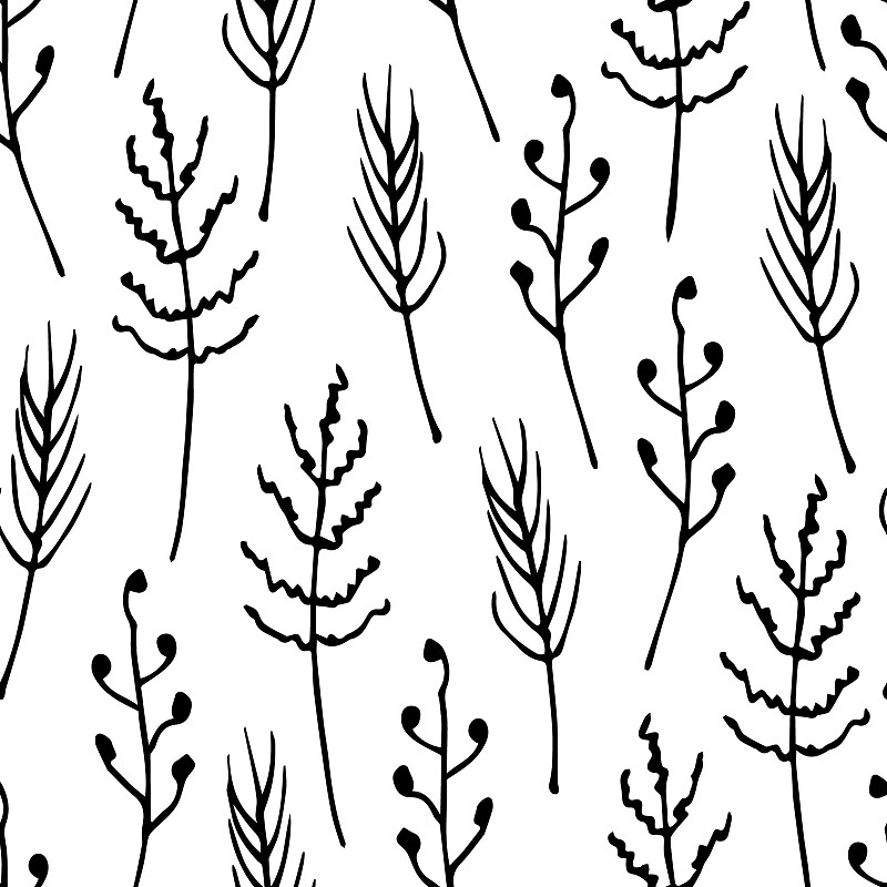 簡單的花矢量黑白無縫圖案。野生植物，潘帕斯草原，草和花序。適用于印刷包裝用紙、紡織制品。插畫圖片