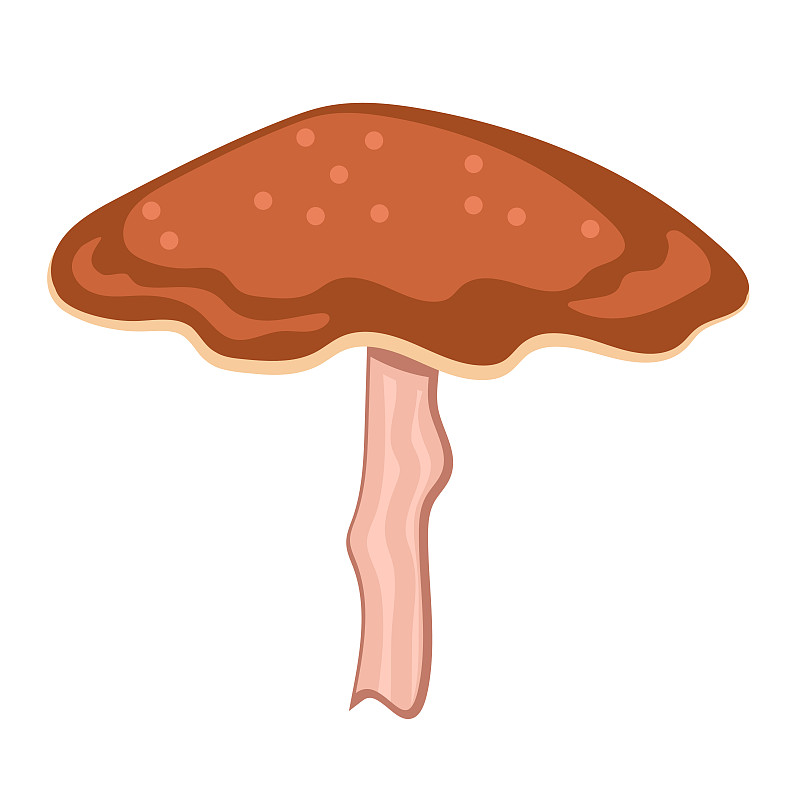 紅香菇插圖，秋收季節，新鮮健康的農產品插畫圖片
