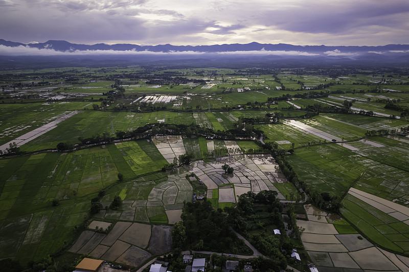 日落時分俯視泰國北部的水稻農場攝影圖片