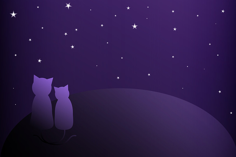 貓看夜景插畫圖片