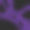 黑色簡單的網在紫色的背景。萬圣節屏幕保護程序。插畫圖片