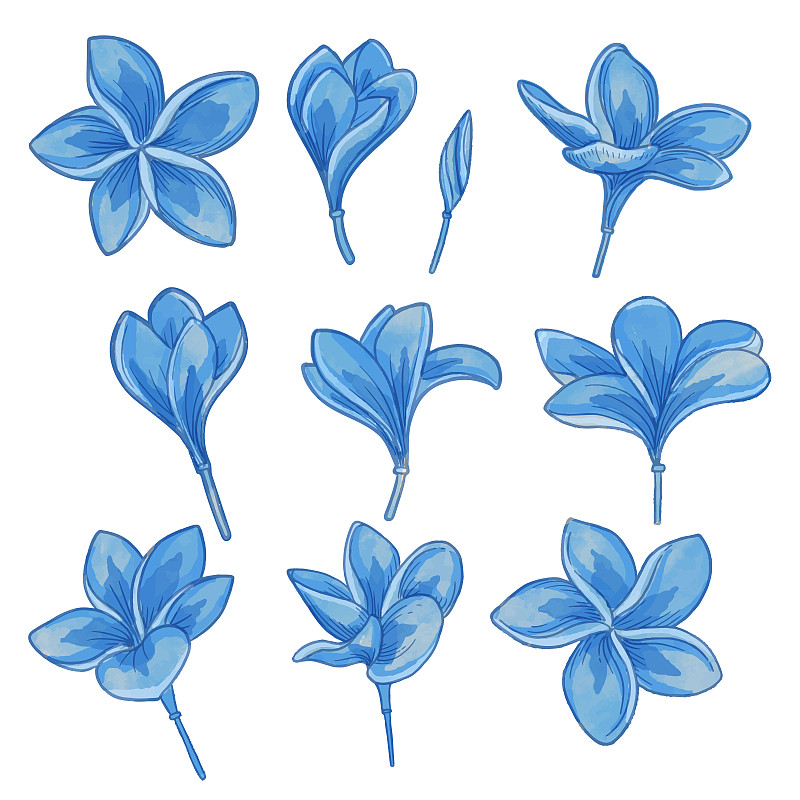 一套水彩花，藍色植物剪貼畫插畫圖片