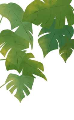 植物叶子动态GIF元素背景插画元素下载