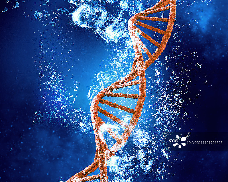 水中的DNA分子。DNA分子在清澈湛蓝的水中图片素材