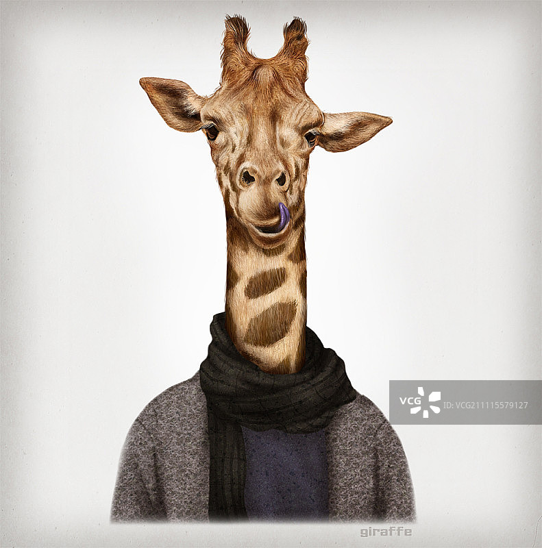长颈鹿的画像图片素材