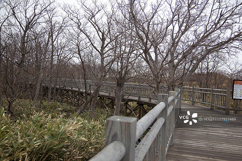 日本北海道，灵床半岛，灵床五湖国家公园的步道图片素材