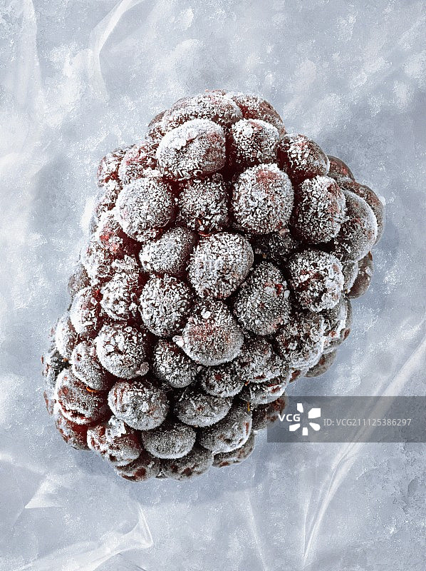 冰冻的黑莓图片素材