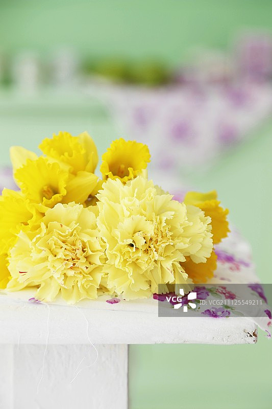 绿色背景下的水仙花和黄色康乃馨图片素材