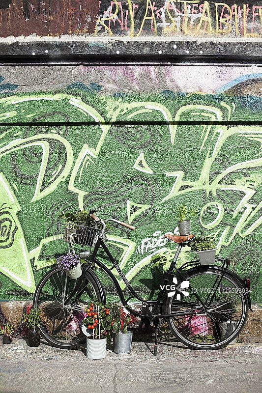 用植物装饰的自行车，在涂鸦墙前的城市设置图片素材
