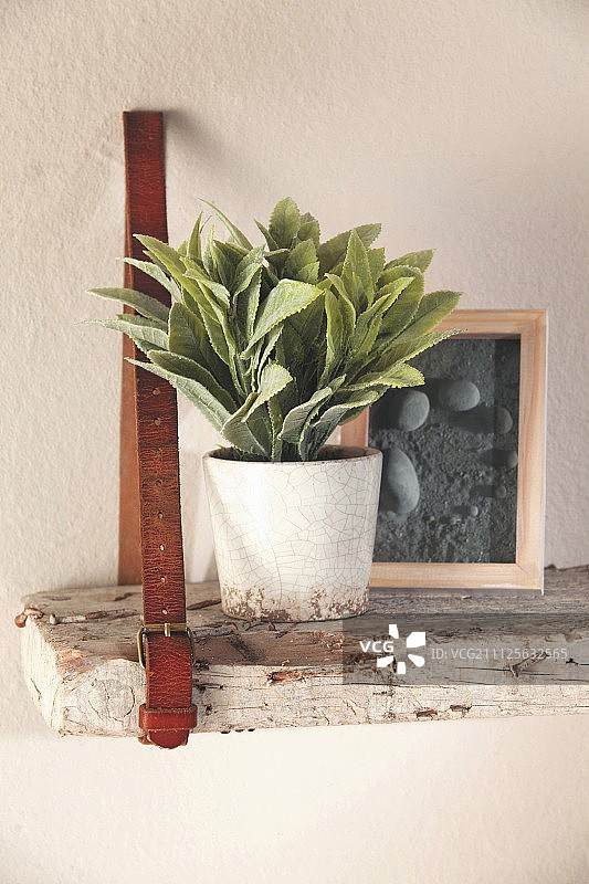 用皮带作为架子挂在墙上的纯朴木板，装饰有室内植物和图画图片素材