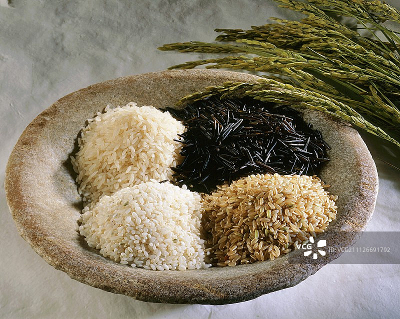 四种不同类型的大米一碗一穗图片素材