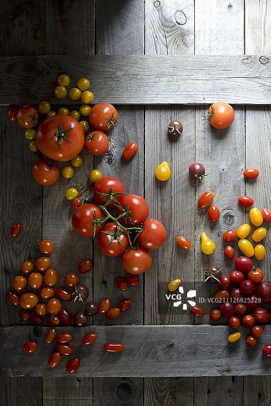 不同颜色和大小的西红柿的排列图片素材
