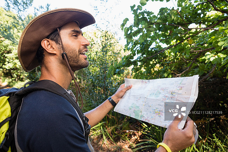 一个人拿着地图，在森林里看远方图片素材