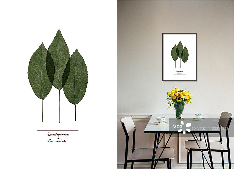 室内设计与植物艺术图片素材