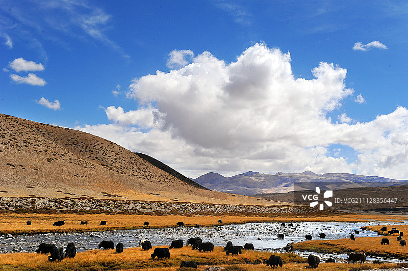 西藏札达县风光图片素材
