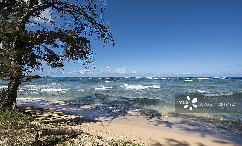 夏威夷海岸风光图片素材