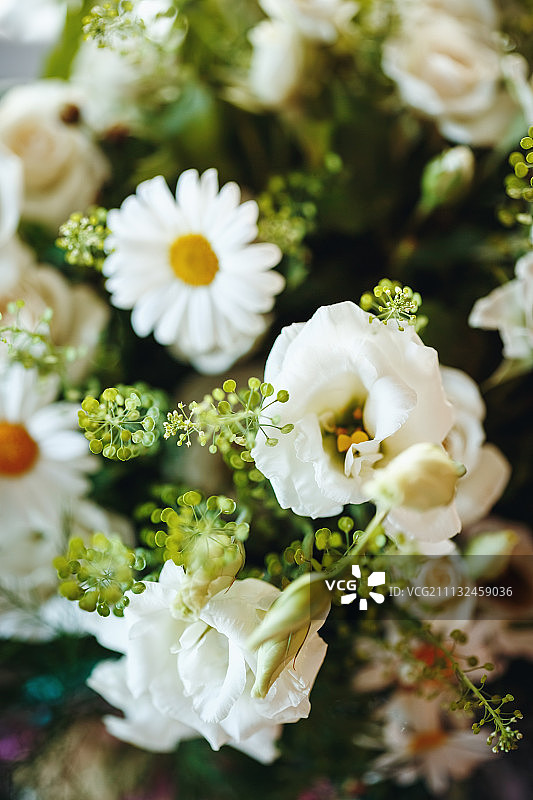 新鲜的白玫瑰和洋甘菊花束图片素材