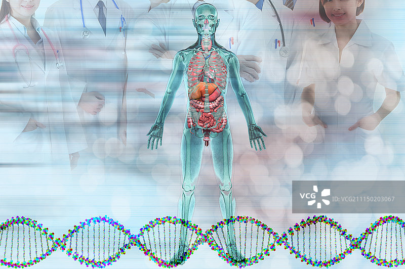 研究DNA的医疗团队图片素材