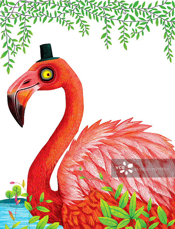 动物插画系列作品共3000幅-火烈鸟插画组图-绅士图片素材