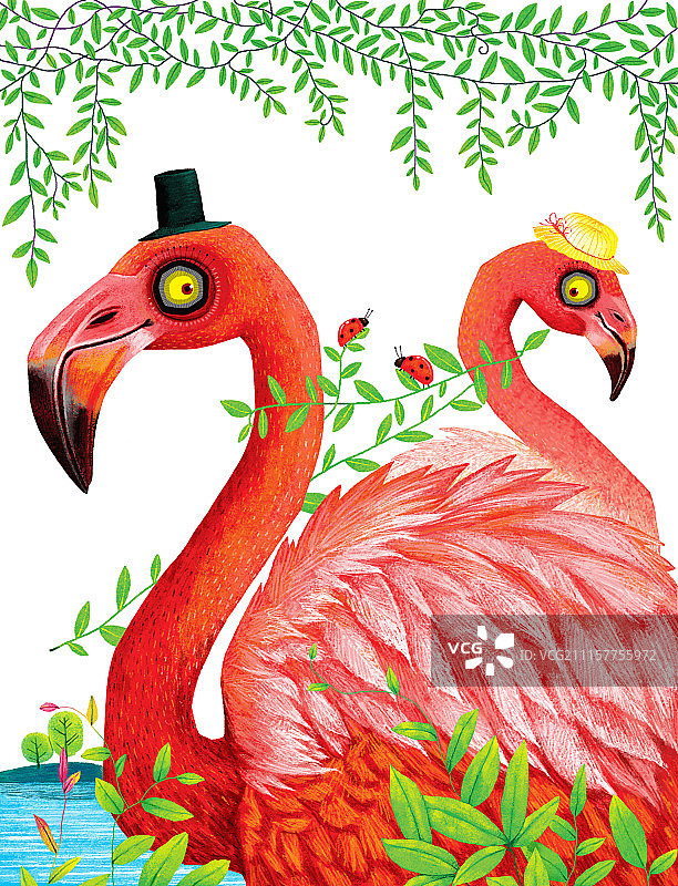 动物插画系列作品共3000幅-火烈鸟插画组图-王子和公主图片素材