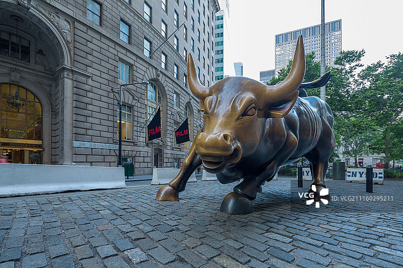 纽约华尔街的大铜牛图片素材