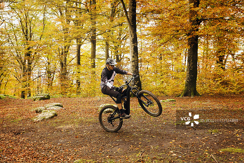 山毛榉森林里的男孩，在一根树枝上举起自行车图片素材