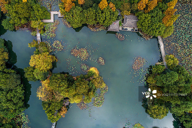 航拍 杭州西湖 曲院风荷 景区图片素材