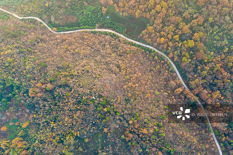 南京老山国家森林公园秋季风光图片素材