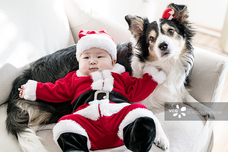 圣诞宝宝和狗图片素材