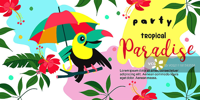 一个热带天堂派对。彩色矢量插图，邀请一个派对。热带风格的插图。欢快的巨嘴鸟坐在树枝上，拿着一把明亮的伞。图片素材