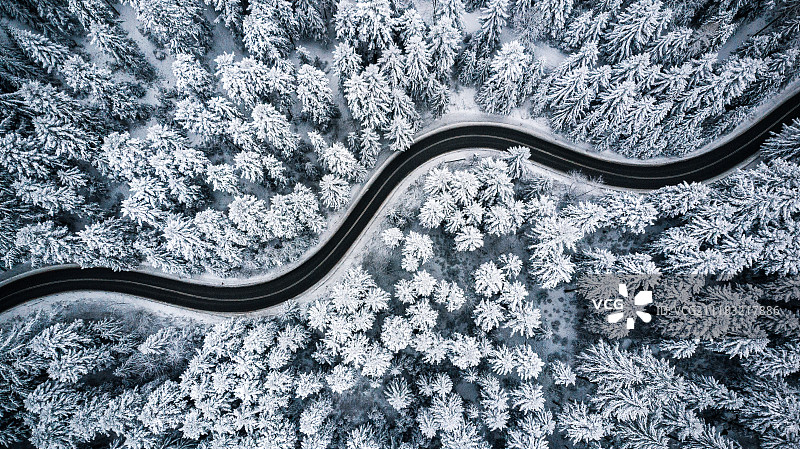 弯曲多风的道路在积雪覆盖的森林，从上到下鸟瞰图图片素材