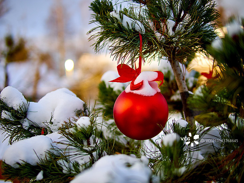 圣诞红球和绿色云杉树枝圣诞装饰图片素材