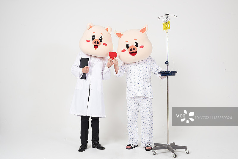 猪医生和病人的摄影图片素材