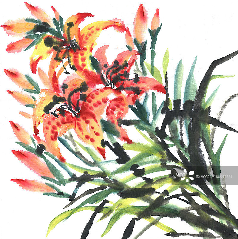 中国画水墨插画花卉系列百合花图片素材