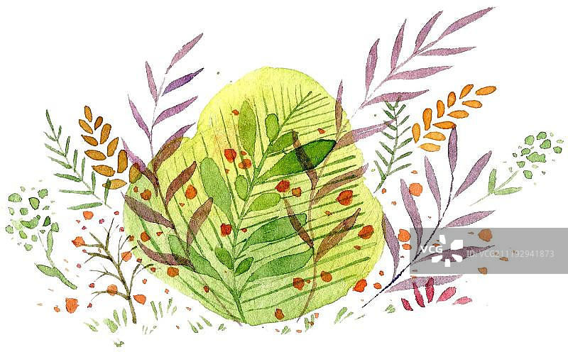 水彩手绘植物组合图片素材