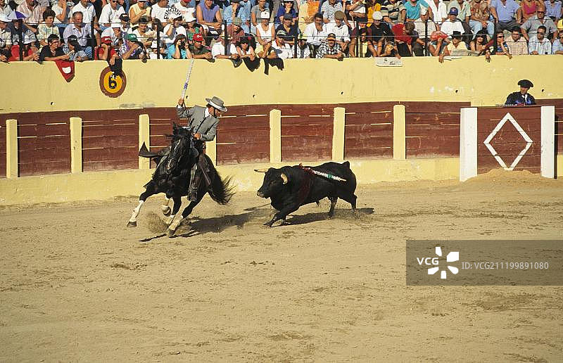 西班牙，欧洲，斗牛，骑在马背上，被斗牛士追逐图片素材