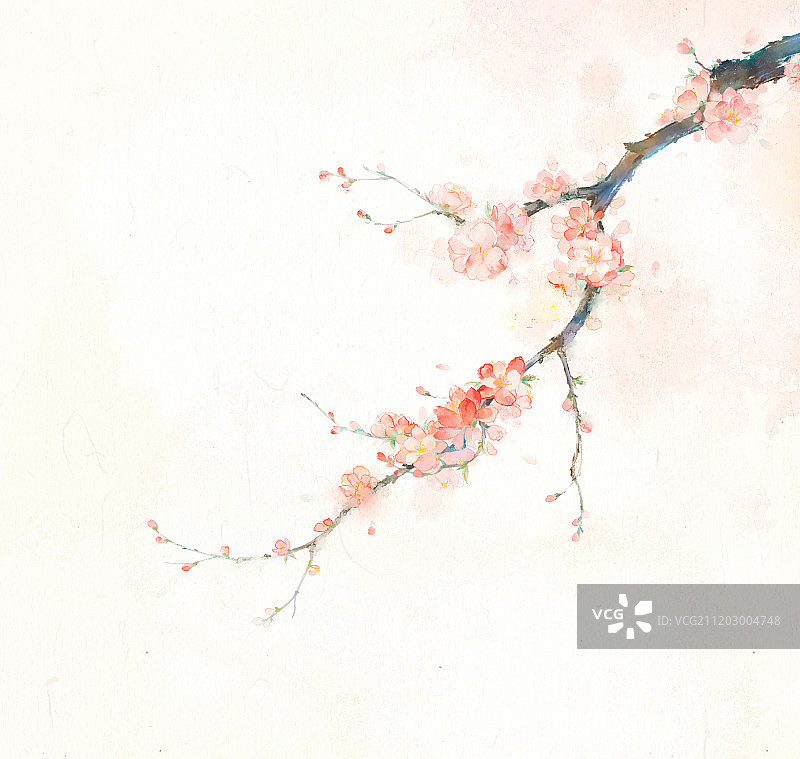 中国风水墨桃花花卉插画图片素材