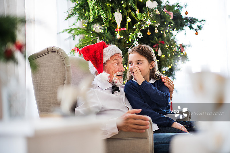 一个带着圣诞帽的小女孩告诉她的爷爷一个秘密。图片素材