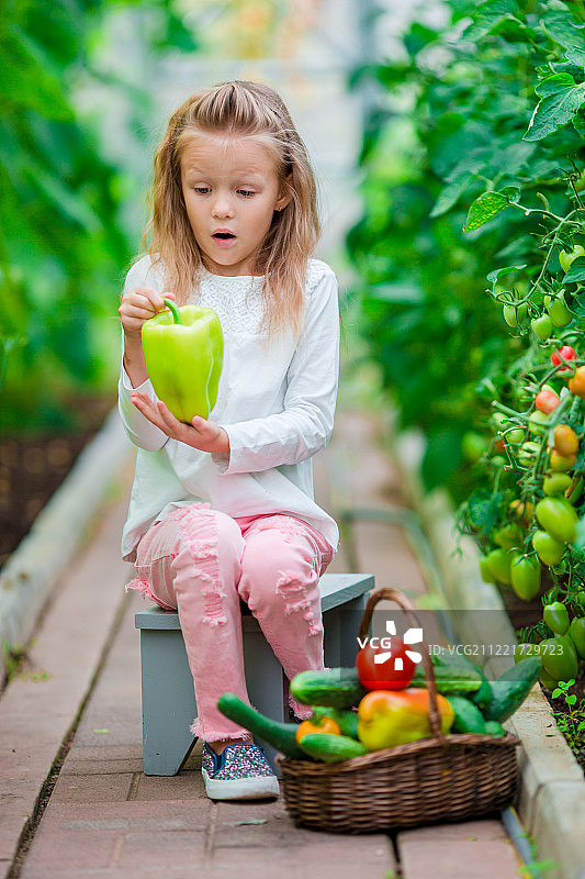 温室里收集作物黄瓜和番茄的小女孩图片素材