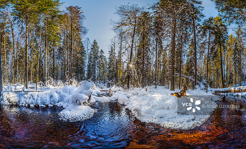 冰冻森林溪流全景图图片素材