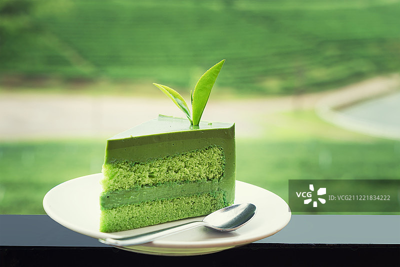 白盘上的新鲜绿茶蛋糕与茶树的特写图片素材